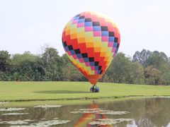 -中国科学院西双版纳热带植物园