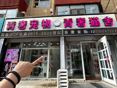 -青奢宠物·青奢猫舍