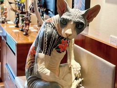 -深圳香格里拉酒店