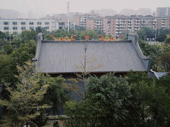 -飞凤山奥体公园