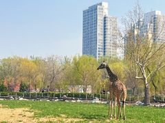 -天津市动物园