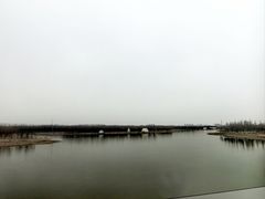 -西青郊野公园