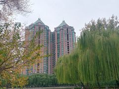 -团结湖公园