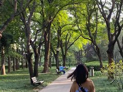 -玲珑塔公园