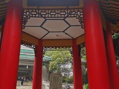 -武汉大学-樱园