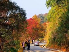 -广州市石门国家森林公园