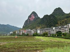 -长寿村