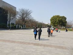 -九里河湿地公园