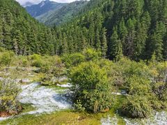 -九寨沟-树正沟