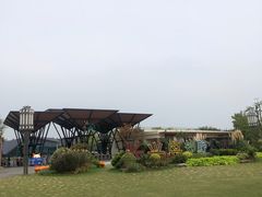 -上海长兴岛郊野公园