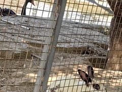 -河北村民俗体验园