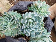 -飘香酒馆·私房菜