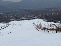 -蓟洲国际滑雪场