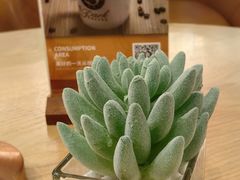 -逸派咖啡 EPARKCOFFEE(广安门店)