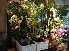 -春暖花开(西溪店)