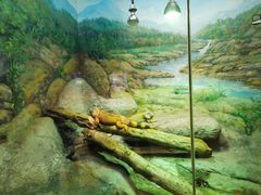 -福州罗源湾海洋世界旅游区