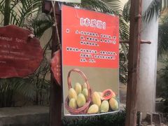 -仁爱团泊湖温泉中心