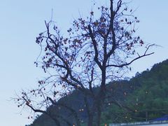 -丹山赤水风景名胜区
