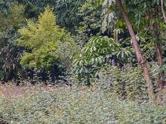 -人民公园(罗湖区)