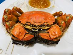 -上海怡沁园度假酒店