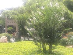 -晓港公园