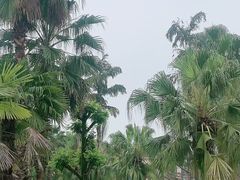 -重庆海昌加勒比海水世界
