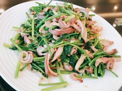 芫爆肚丝-鸿运楼烤鸭店(天桥店)