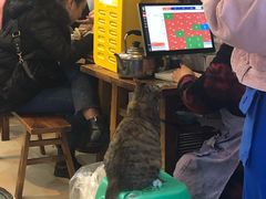 -黑竹香鸡(营和巷店)