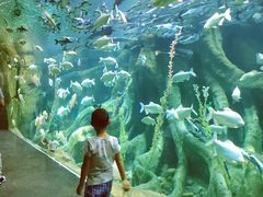 -波塞冬旅游度假区