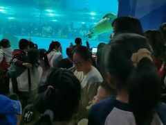 -苏州海洋馆