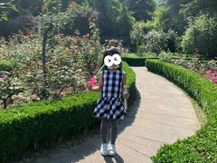 -南山植物园