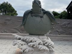 -广东惠东海龟国家级自然保护区