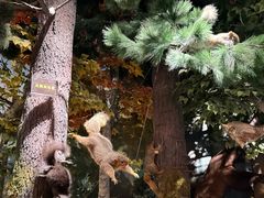 -陕西自然博物馆