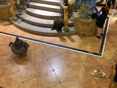 -more than meow吴止猫主题餐厅(承德 中船汇店)