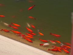 -北京十三陵国家森林公园蟒山景区