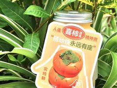 -野萃山·潮汕厚果汁(十亩地店)