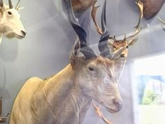 -陕西自然博物馆