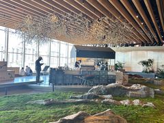 -Seesaw Coffee(朝阳大悦城店)