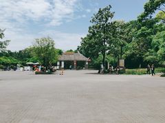 -花溪公园