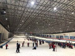 -绍兴启迪乔波冰雪世界