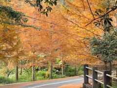 -福清灵石山国家森林公园