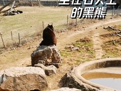 -无锡动物园·太湖欢乐园
