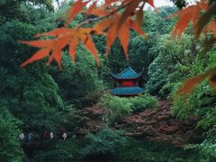 -岳麓山风景名胜区