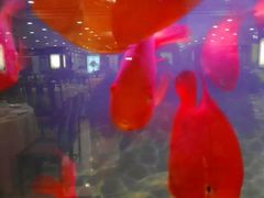 android_upload_pic-上海老饭店(北京分店)