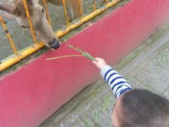 -荆州中山公园动物园