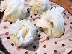 素三鲜-真食净香居·内蒙烧麦(亚运村店)