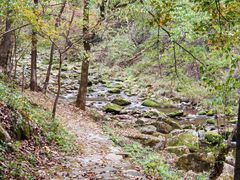 -三块石国家森林公园