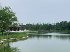 -西海子公园