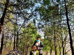 -阳台山自然风景区