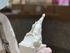 -野人先生Gelato(上海长宁龙之梦店)